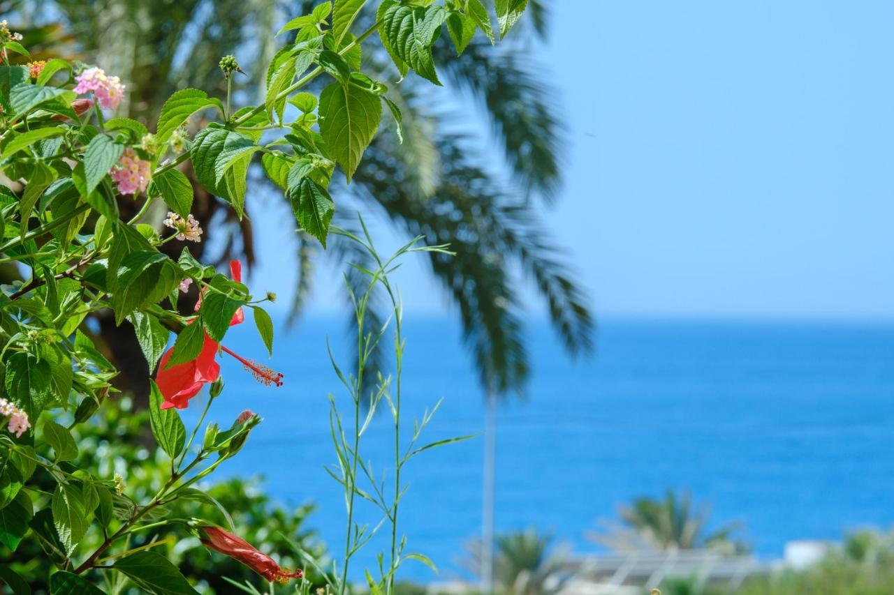 Beautiful Torreoceano 92, Pool, Beach Access La Cala De Mijas Dış mekan fotoğraf